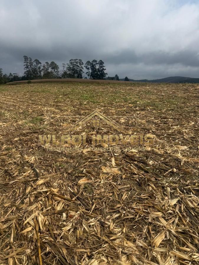 Fazenda, 85 m² - Foto 8