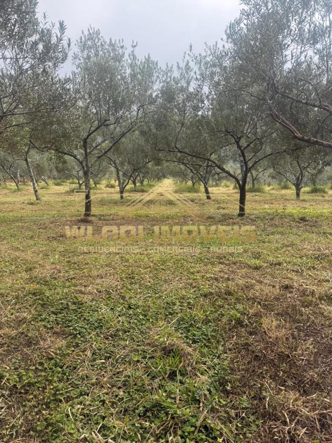 Fazenda, 85 m² - Foto 2