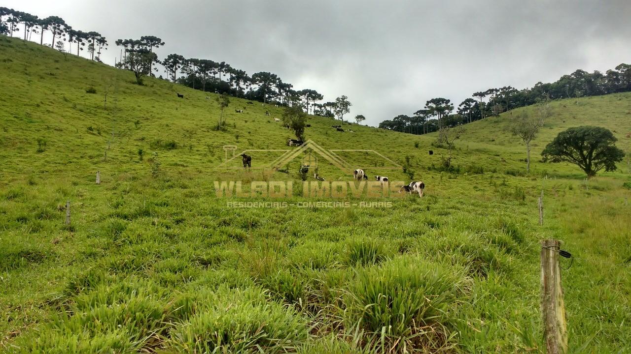 Fazenda, 314 m² - Foto 4