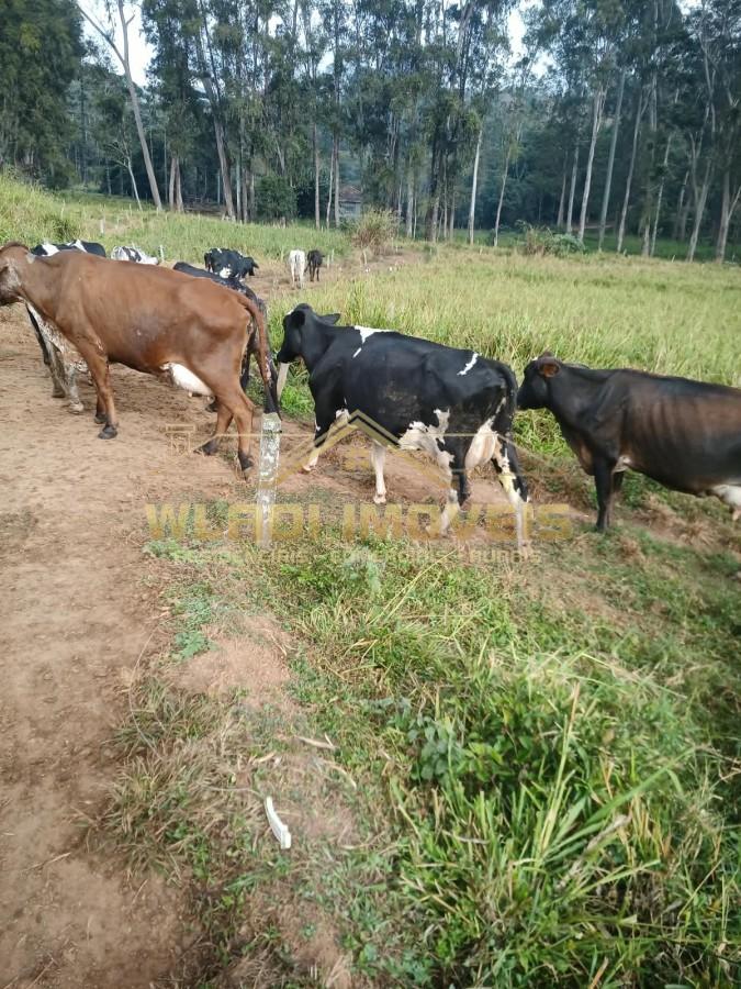 Fazenda, 314 m² - Foto 5