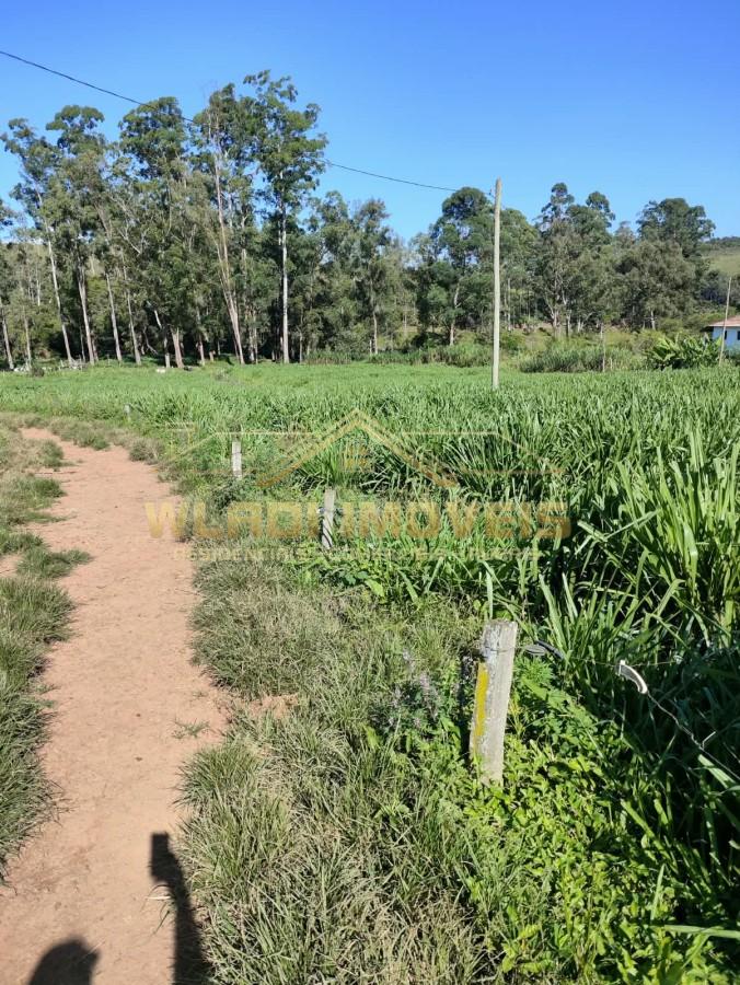 Fazenda, 314 m² - Foto 6