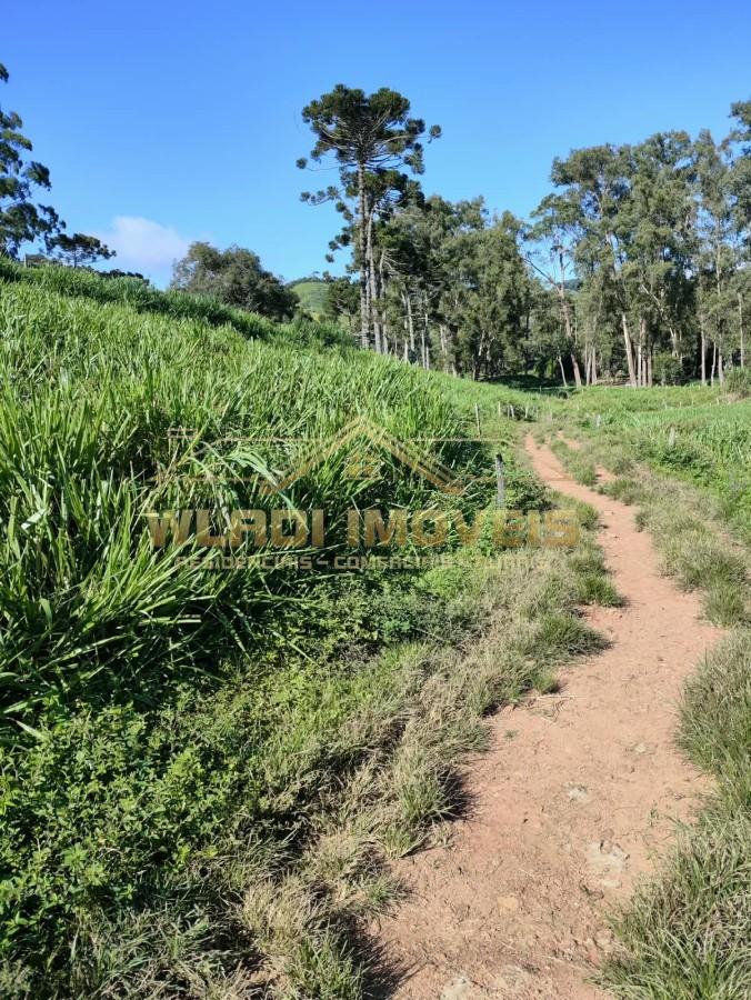 Fazenda, 314 m² - Foto 7