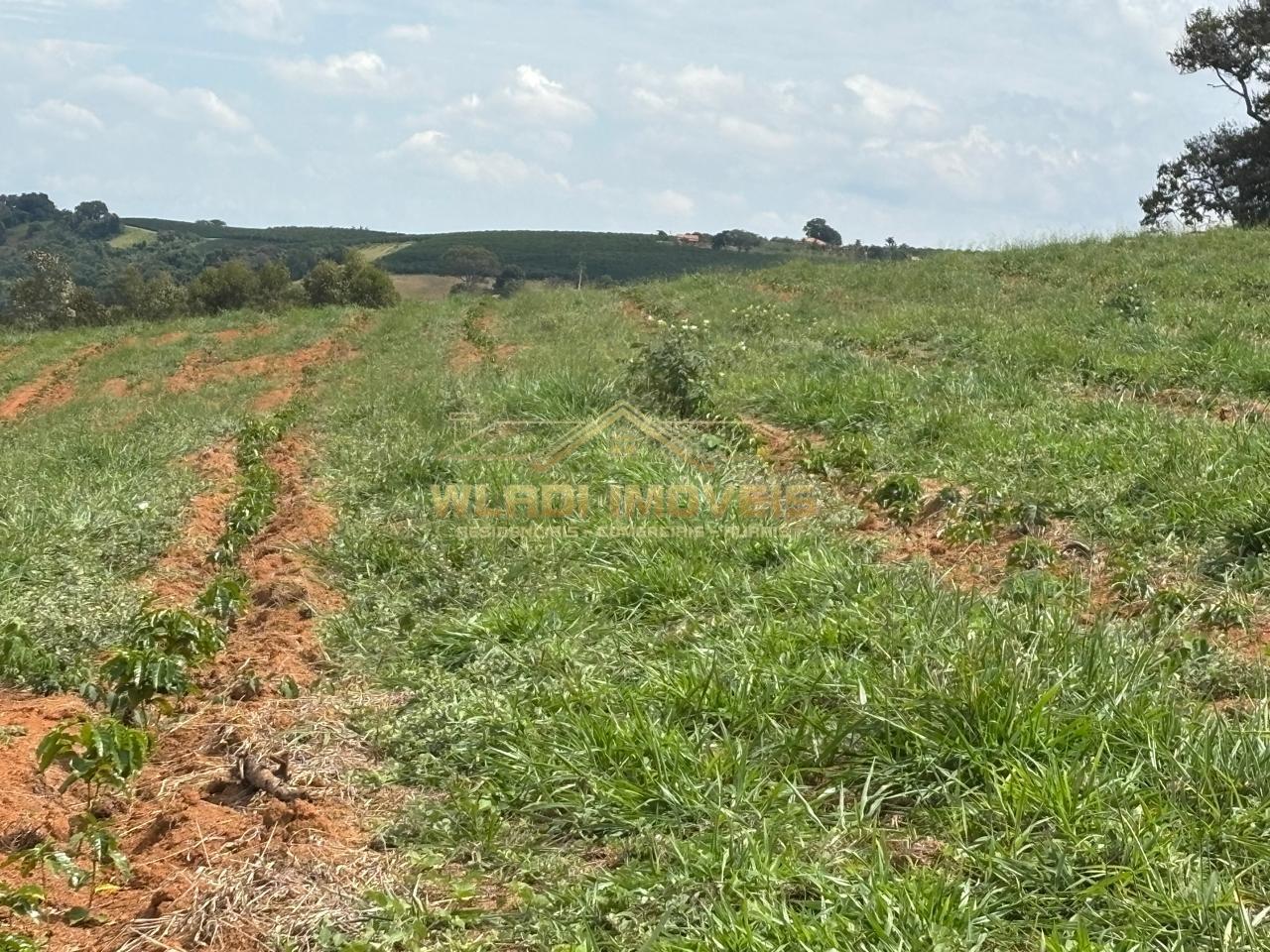 Fazenda, 75 m² - Foto 6