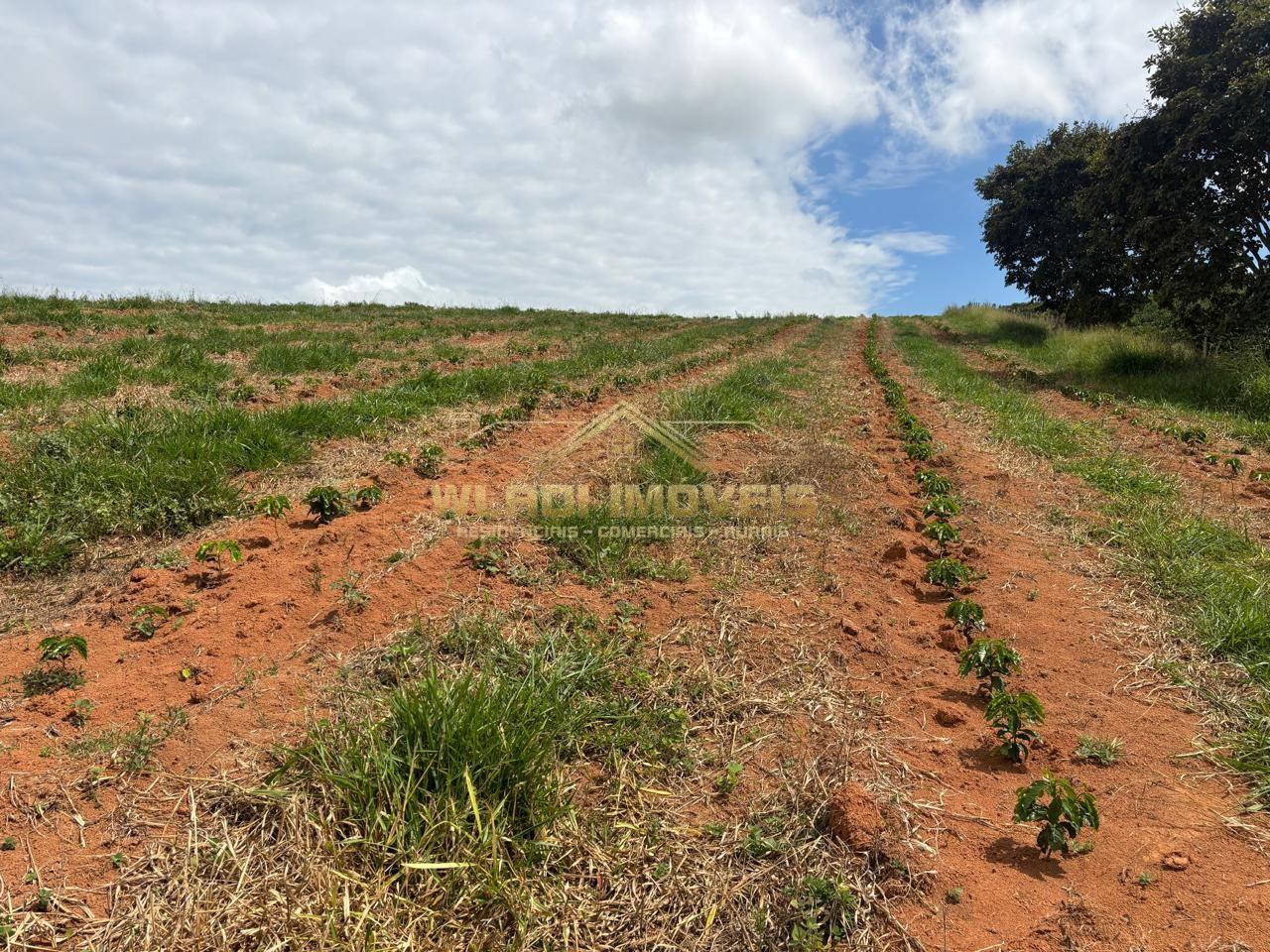 Fazenda, 75 m² - Foto 9