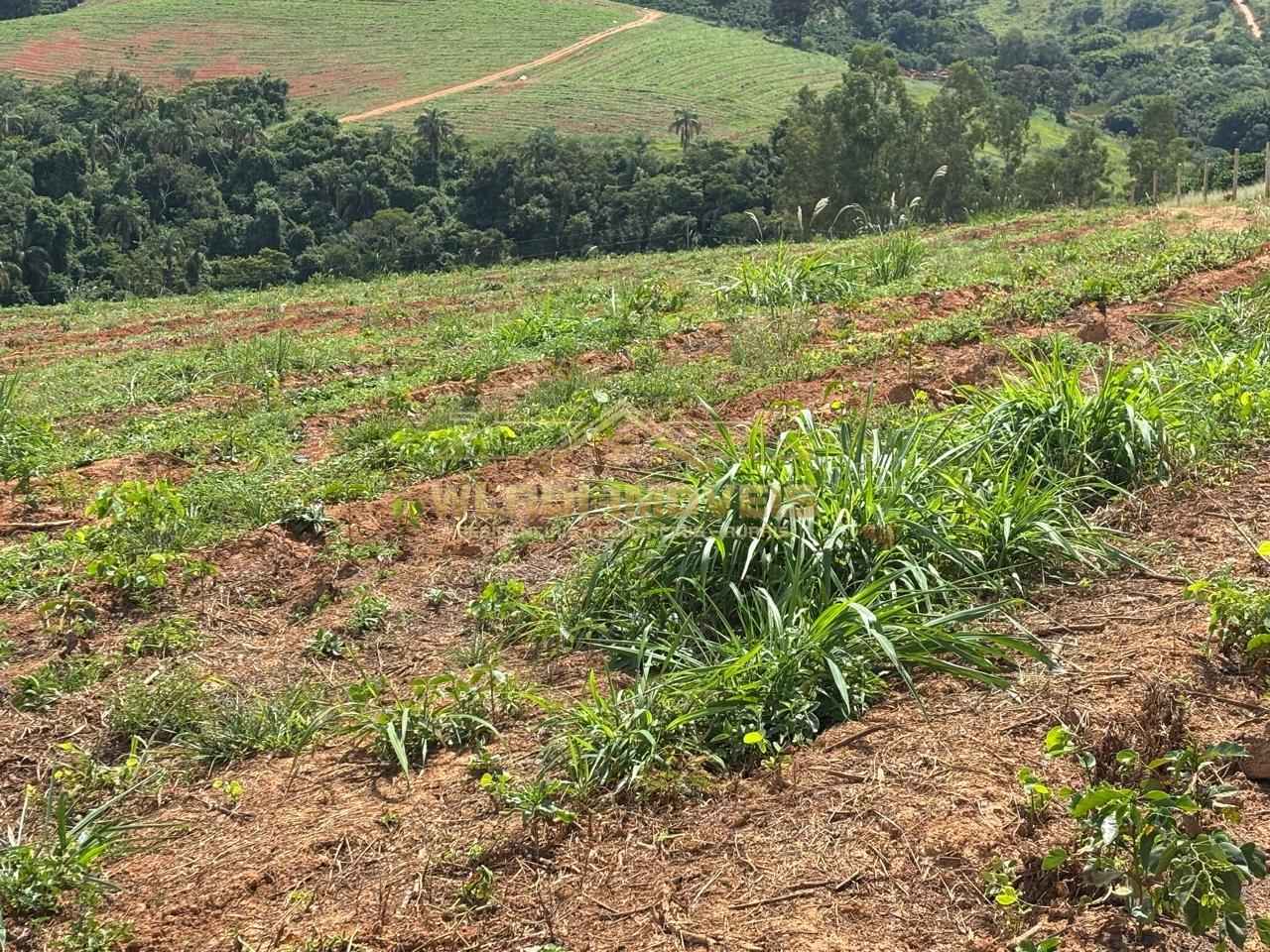 Fazenda, 75 m² - Foto 10