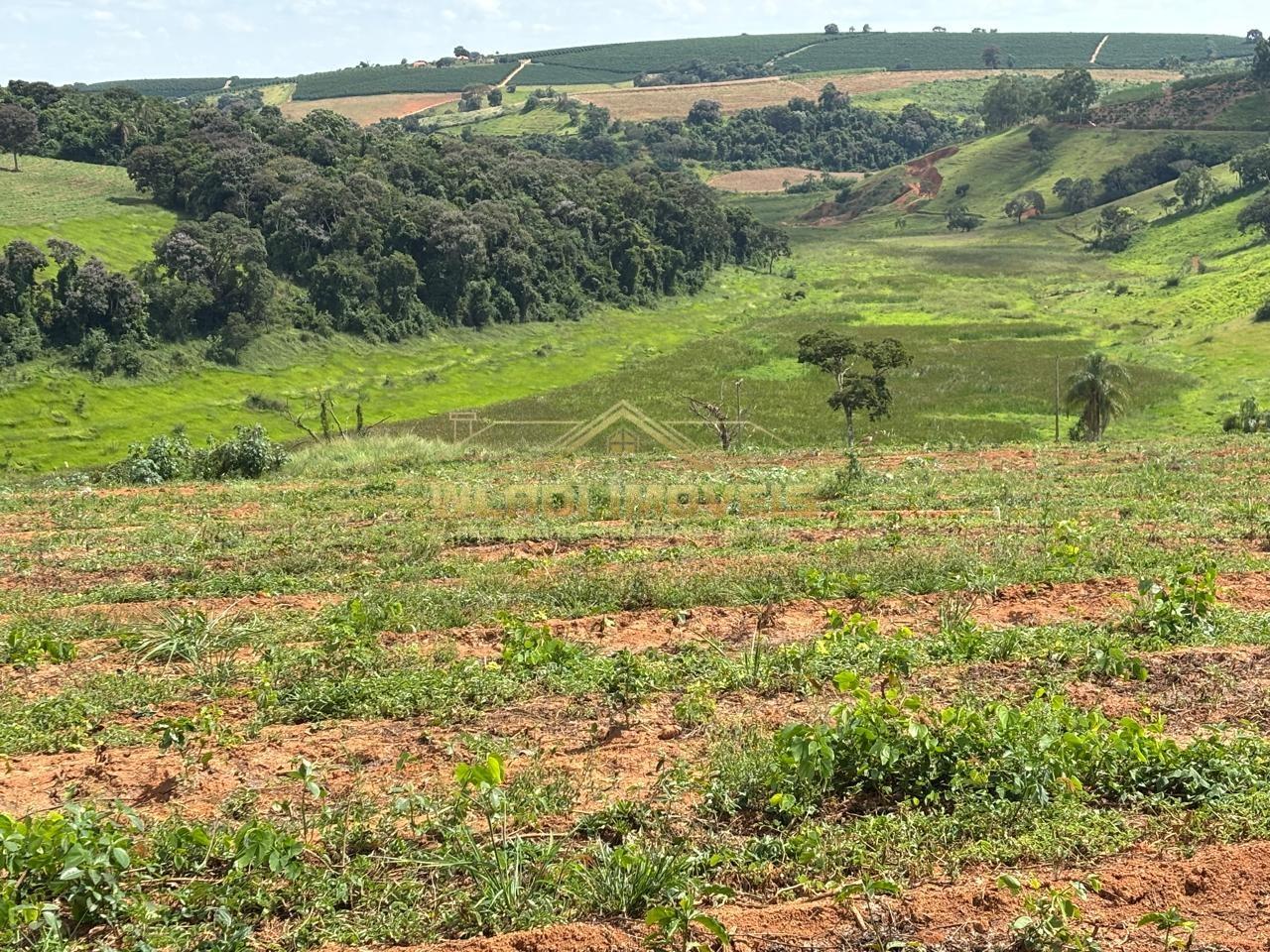Fazenda, 75 m² - Foto 14