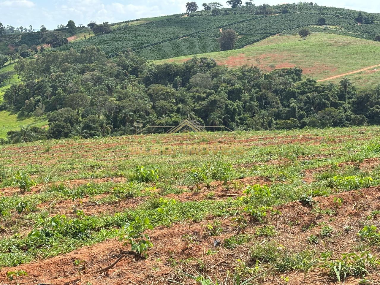 Fazenda, 75 m² - Foto 4